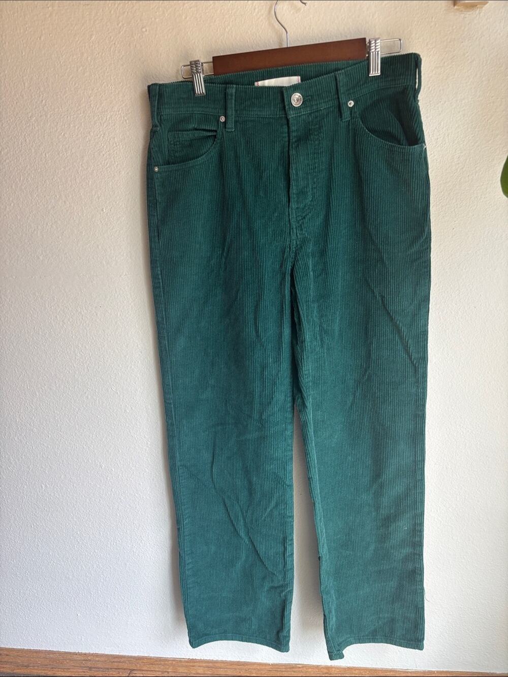 BDG Urban Outfitters Relaxed Corduroy Pants Jeans 30